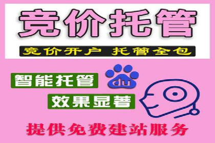 专业SEM托管如何助力电商行业增长？——案例分析